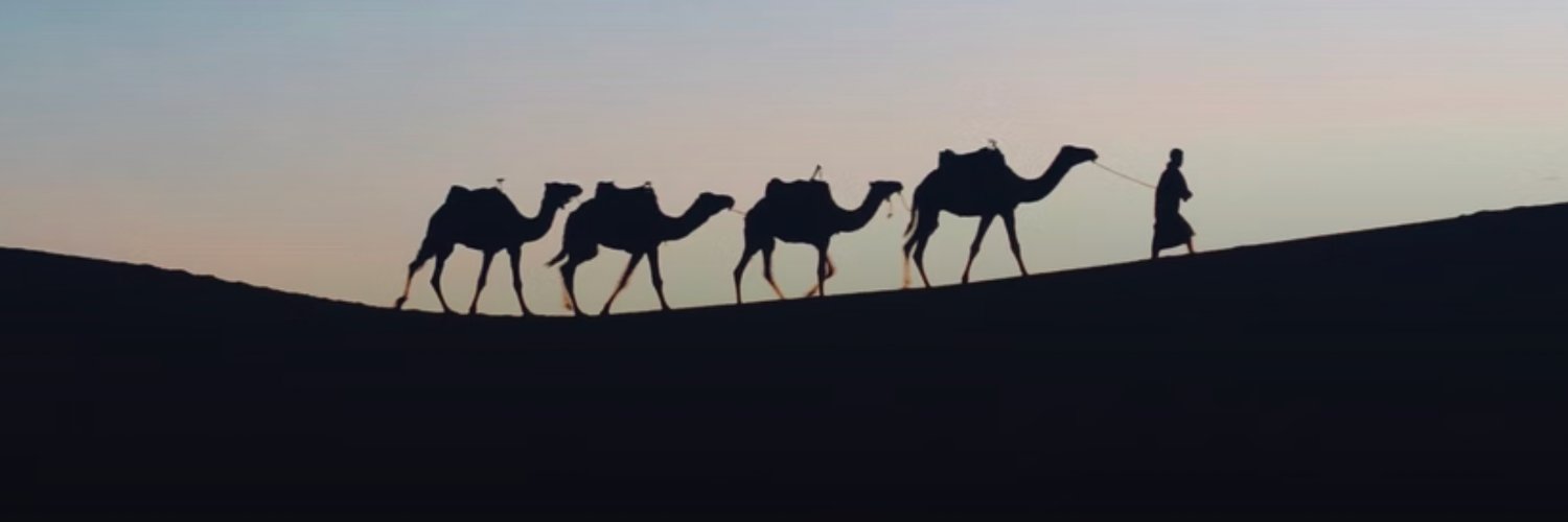 International Camel banner
